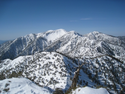 On top of Telegraph Peak. 8985' elevation. An amazing 360 degree view, one of my favorite views in the area so far. Here you see Mt. Baldy (Mt. San Antonio) from the other side of where my pictures are normally taken. It is 1:30pm, almost exactly on my target summit time. But I'm worried about how long the steep descents will take on the way back down. There are some small sections of downhill that actually take longer than going uphill.