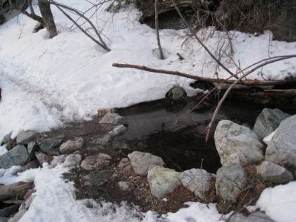 I left my snowshoes on pretty long on the way down, mostly for traction. I had to cross a few dry areas, and even a couple creek crossings in them, which was fun. I also had several chances to practice "glissading" on the way down. Turns out my butt skiing actually has a name, and actually has technique involved (using the ice axe for self arresting). I practiced it in a few spots where there was a limit to how far I could go. But I don't have the confidence yet to try it in areas where sliding the wrong way can lead to death.