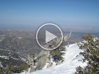 A short video of my feathered friends.