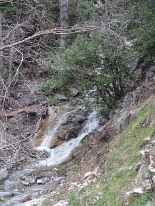Heading-up Bear Canyon. It's nice to see some cascades actually flowing in the creek. This was totally dry my previous two times up here.