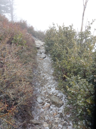 The snow is starting to stick.