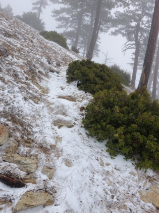 And it's starting to get heavier.