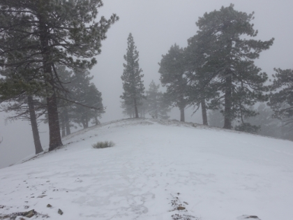 Mt. Baldy Bear Canyon 