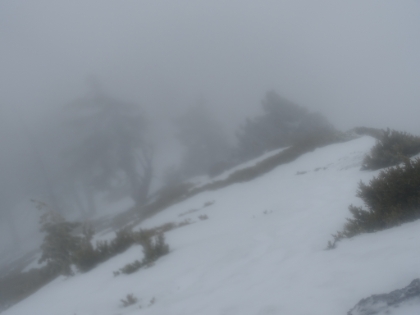 Almost complete white out now. Fortunately, the trail is still mostly recognizable and there is at least one pair of tracks that I can make out, most likely from a couple I saw coming down earlier. They had crampons and full gear. I was packing pretty light today since I wasn't really planning on a full snow trek. The crampons would have come in handy since there's almost zero powder here, it's entirely packed and icy.