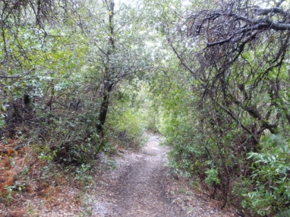 There's a dusting of snow all the way down to 5,000'.