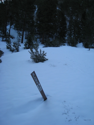 I decided to try the backside of Mt. Baldy one more time. I love this trail and know it well. And with nearly two hours of extra daylight since my last trip, I thought I just might be able to summit. I was determined to summit. I was up at 4am, out of the house by 5am, at the trailhead a bit before 7am, and geared-up and on my way by 7:20am. So far so good, except for the fact that I somehow managed to forget my new snow gaiters! I would pay the price for that later on.