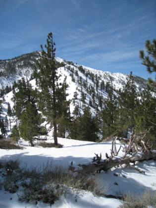Getting ready to ascend Pine Mtn. via the Backbone Trail. One of my all-time favorite trails.