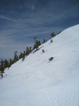 A look at my path traversing across a slope with about 50% incline. This would have been -extremely- difficult and very dangerous in snowshoes (if you wipe out, you are going downhill for a long, long ways). Though still difficult, it was much easier and safer in crampons. It is still murder on the ankles, but you definitely have a lot more control. And I am trying a technique where I carry both my trekking poles and ice axe at the same time, which seems to be working pretty well.