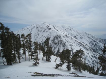 I finally reach that ridgeline, which is Dawson Peak, elevation 9575'. Only 500' below the summit. I'm almost there! Uh, not really. I remember my heartbreak on my first trip here (summer, no snow) when I first looked down into the valley below Dawson Peak. You drop a full 800' down into the valley before climbing 1300' (rather than what looked like 500') to the summit. It is twice as disheartening in the snow.