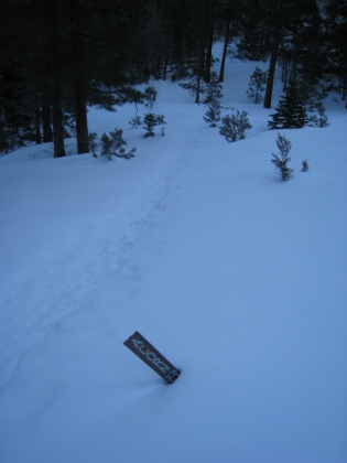 The same Acorn trailhead sign, only this time barely visible. Looks like I have someone's snowshoe tracks to follow for a while at least.