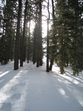 Mt. Baldy Snowshoe Expedition