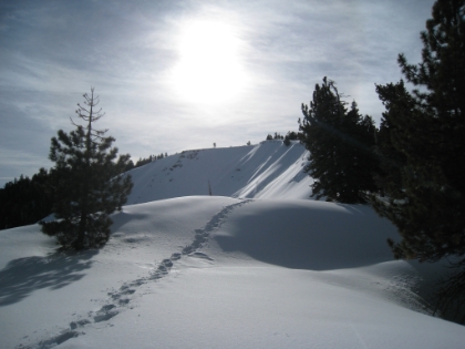 I made it to the top of the Acorn trail without too much drama this time. It was SLOW going though. Fortunately I was able to follow the existing snowshoe tracks all the way to this point.
