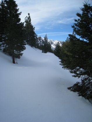 The fireroad at the top of the Acorn trail running parrallel to the PCT. Looks a little different than last time I was here! The previous snowshoer didn't go past this point, so it is 100% virgin snow from here on out. Turns out, that makes things really, really hard. Normally you snowshoe with 2 or more people so that you can take turns "breaking" the trail. The first person in line makes the snowshoe prints, then everyone else follows in his/her tracks. When the person in front gets tired, you rotate. I'm all alone, with no tracks from here on out, so I'm breaking my own trail the rest of the way! But it is kind of cool knowing that not a single human being has been here in at least 5 days (the last snow was Tuesday and it is now Sunday with not a single footprint in sight).