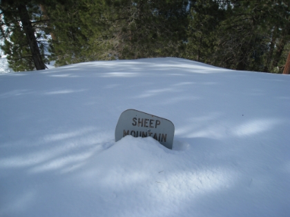 Start of the Backbone trail in the Sheep Mountain Wilderness. This sign is normally just about hidden off the fireroad (see pictures from the last trip), and now it is almost entirely hidden! Good thing I have it marked as a waypoint on my GPS now.