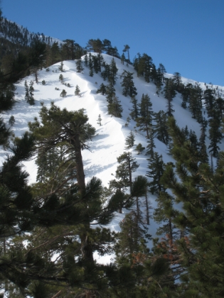 This picture gives some small idea of how steep this trail is. It is one of the hardest I have ever been on with no snow. With 5 feet of snow, it almost made me turn around. I have never come so close to calling it quits during one of my adventures then during this stretch. Now I know what an overweight chain smoker must feel like on a steep hike. I was dying.