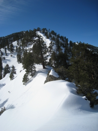 Almost to the top of this mini-peak.