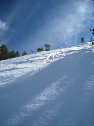Coming down over the other side of Pine Mtn., I had my first major butt skiing incident. Basically you lose traction going down a steep decline, end-up on your ass, and then are in a completely uncontrolled slide down the hill. Arms and legs flailing. Trying to stop yourself with poles, snowshoes, anything. Nothing to stop your slide. On this particular wipeout, I was able to steer myself towards a tree so that I could do a controlled crash into it and finally come to a stop.