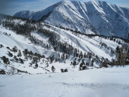 My second major butt skiing wipeout. Sometimes you lose your footing and a mini-avalanche of lose powder starts and you are riding it downhill with no control. This time there were no trees to stop me. I finally came to a rest maybe 30ft. from what looks like a cliff. On an all my adventures so far, this was the first time I legitimately felt like that things here could have been really bad.