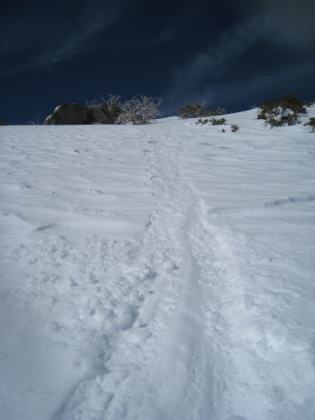 A look uphill at my butt slide. A combination of butt and snowshoe prints. Since it is close to my turnaround point anyway, I decide to stop while I'm ahead (and still alive!) and head back.