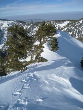 Headed back down the ridge. At least I shouldn't have to break trail on the way back.