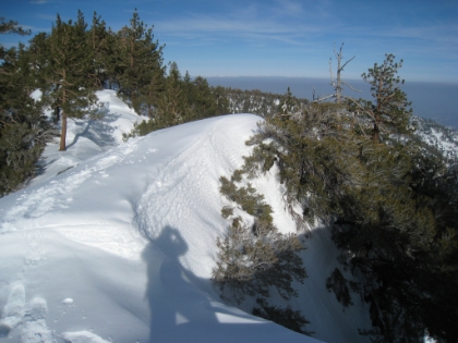I always wonder if these snow banks will give out when I walk over them.