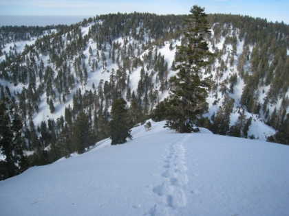 Believe or not, I am actually wishing I was going uphill again. While the uphill was brutally hard, at least I wasn't fearing for my life.