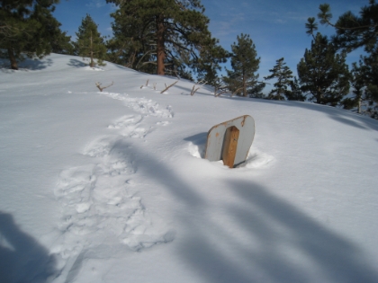I have never been so happy to see the backside of a sign in my life! In this case, the Sheep Mountain Wilderness sign marking my return to the fireroad and relative safety.