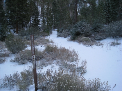 Start of the Acorn trail. Now that I know exactly where it is, it didn't take me 45 minutes to find like last time.