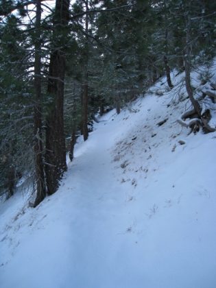 This trail is wide and easy to see, should be no problem finding the trail here. BUT, the bite valve for my hydration bladder is completely frozen. I have to warm it for a few minutes just to get a sip of water out. Not good.