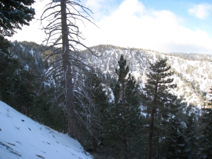 A nice morning view. I might luck out and have clear skies for the day. Or not...