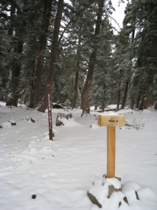 After briefly losing the trail and having to backtrack, I made it the top of the Acorn trail. 8240'. Temperature is now 26 degrees.