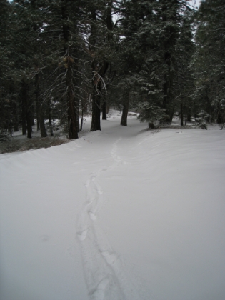 You have to follow a fireroad along the ridge for about a mile to get to the next section of single track. This road is part of the famous Pacific Crest Trail (PCT). I ran this portion. Trail running in the snow is a blast. It's tough on the ankles though, feet slip and slide on every stride.