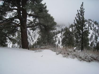 Here is where the Backbone Trail starts. Obvious isn't it? I'm not sure how you would ever now without having done it before.