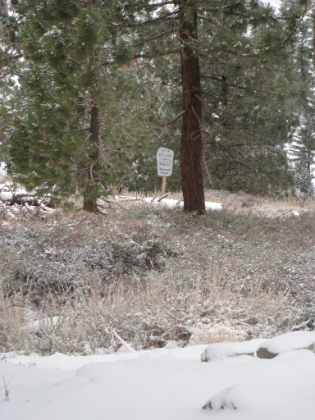 If you look over the side of the fireroad at just the right spot, you can see the sign that marks the start of the Backbone trail. One of my favorite trails.