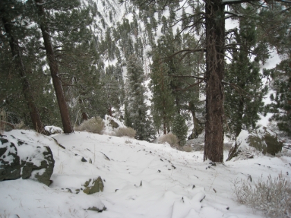 It's hard to tell from the picture, but this is a STEEP descent. It was slippery and hard to find the trail in completely dry conditions. Now that it's covered in snow, will I make it?