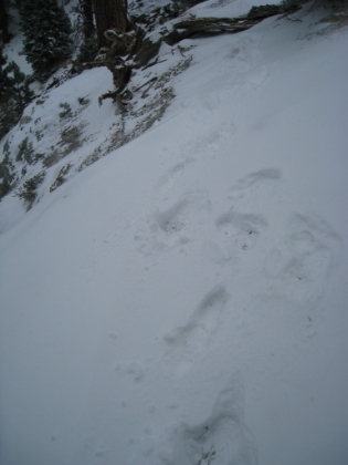 I'm beginning to have second thoughts now. The snow is getting deeper. It's now 18 degrees (and that's without the wind chill). No more sun out, it's starting to lightly snow, and visibility is dropping. I'm realizing my gloves are not warm enough. My fingers are going numb. I try putting my hands in my pockets, but then I can't balance. I've already been on my ass several times. To make matters worse, the entire tube from my hydration bladder is now frozen stiff as a rod (full of solid ice). My only hydration for the rest of the hike is eating snow.