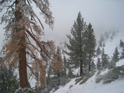 Despite the cold, I still have a chance to enjoy the amazing scenery.