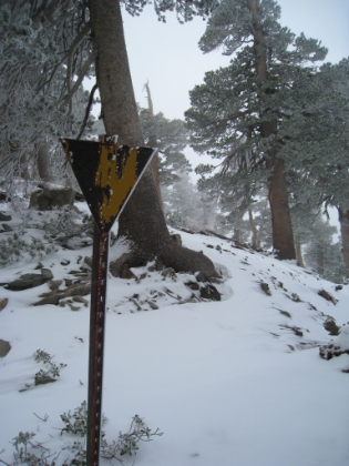 A sign! I must be headed in the right direction. My mountaineering skills are improving :) However, now that I feel less lost, I start to become aware of my left big toe. It is really, REALLY, cold. Though my Salomon shoes are awesome, they aren't waterproof. And my shoes have been covered in snow for hours now. I think that as I slowed down while I was lost, less blood was pumping through my toes, and their temperature dropped preciptiously.