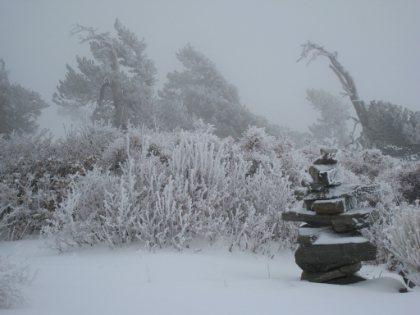 I made it to Pine Mtn. Elevation 9648'. I was beginning to seriously wonder if I would make it this far. It's a bit warmer here away from the ridgeline (upper 20s). But I'm really getting worried about my toe. I take my shoe and sock off so that I can try to warm my toe with my bare hands. It feels like a solid block, almost no feeling, and I can't bend it. It's bright red. I'm not sure what the early signs of frostbite are, and I don't think I want to chance it. And I want to be sure I leave plenty of time for getting down before dark. I decide to make Pine Mtn my summit for the day. I wander around Pine Mtn for a little while trying to get blood flowing back into my toes before I head down. Someone built a couple huge and elaborate trail markers here. Pretty cool.