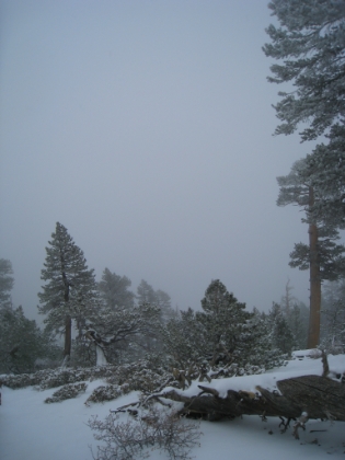 Mt. Baldy is right there. Just a couple miles away and less than 500' higher than where I am now. With a just a few equipment changes, I think I could have summited. Oh well, maybe next time.