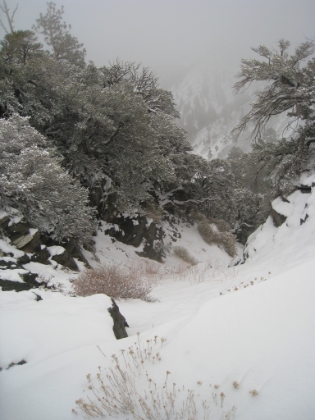 Every so often amidst the cold and worry of losing the trail, I just have to snap a picture of the amazing views.