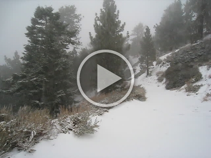 It's now snowing heavily with HUGE snowflakes. And they have amazing different shapes. Maybe not a big deal if you grew up in the snow, but pretty cool for me.