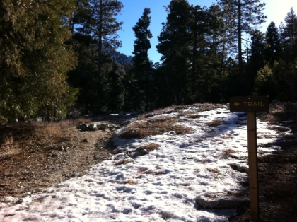 I had to decide which trail to take to the top. A longer flatter route like South Fork, or a shorter, steeper route like Vivian Creek. I ended-up deciding that time was a bigger challenge than the physical workout, so I opted for Viivan Creek, the shortest but most physically demanding route to the top.  There's pleny of snow here, and the elevation is only about 6000', so it looks like there should be no shortage of snow today.
