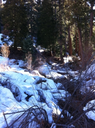 The creek turns into a bit of marshy area admist the snow at the end of the valley.
