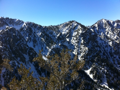 This is legit alpine territory up here. I wish I had a good camera with me, but I'm stuck using the iPhone 4 for pictures, because my normal camera is dead.