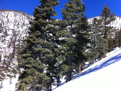 I've had good tracks to follow up to this point, but here I lose the trail. The map says go this way, but the tracks turn into a free for all up the steep slope to the right of this picture. This area turned into some pretty nasty traversing, so I put on the crampons from here on out.