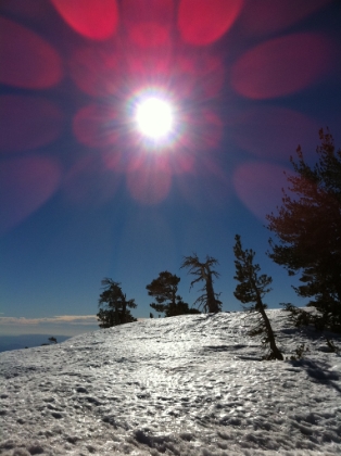 An unintentional, but interesting, camera effect as the sun is getting lower.