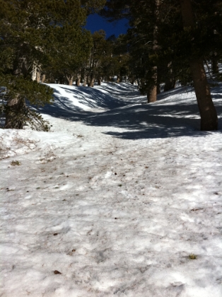 The trail leaves High Creek and makes a quick 800' climb out of the valley in just over a half mile. It doesn't look like much in the picture, but that's steep. It's a perfect example of where the trail would normally switchback up this slope, but in the snow there is no trail, so you pretty much end-up going straight up. The snow had been pretty hard packed all day so far, but it starts to get deeper here, which is more work. This section was a brutal workout and the toughest of the day by far.
