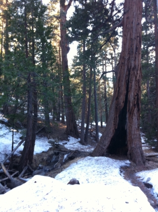 One of my favorite spots along Vivian Creek.