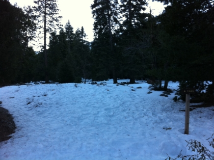 Start of the trail and definitely more snow here than last time. It was exactly a month since my last trip here. Hopefully the lessons learned from last time will help me make it to the top today. I hit the trail about 7:30am, which is about 1/2 hour later than I had hoped. I had planned to send my customary iteneray txt messages from the Mentone ranger station (the last spot with cell coverage) but forgot. I was well on the way up to Forest Falls when I remembered and turned around and drove back to send the txt because I didn't want to have to be worrying about it all day.